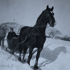Kane med post cirka 1942 - bønderne skiftedes til at køre post, når der var sne