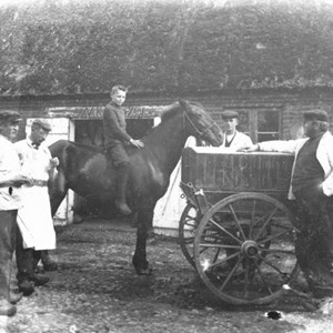 Heste i krogården 1905 (Aastrup Kro)