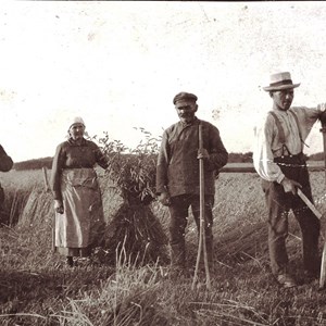 Høstarbejdere på Skudstrup Mark, 1931