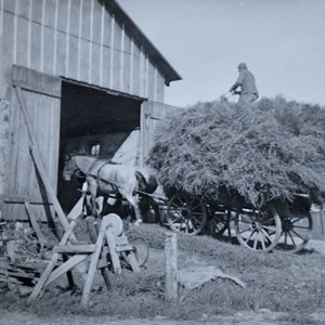HP Hansen kører korn i laden cirka 1940